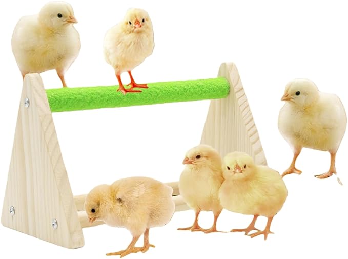 12-Hole No-Scratch & Spill-Proof Chick Feeder, Leak-Resistant Chick Waterer, and Poultry Waterer with Perches - Complete Brooder/Coop Starter Kit for Raising Poultry (Perch)