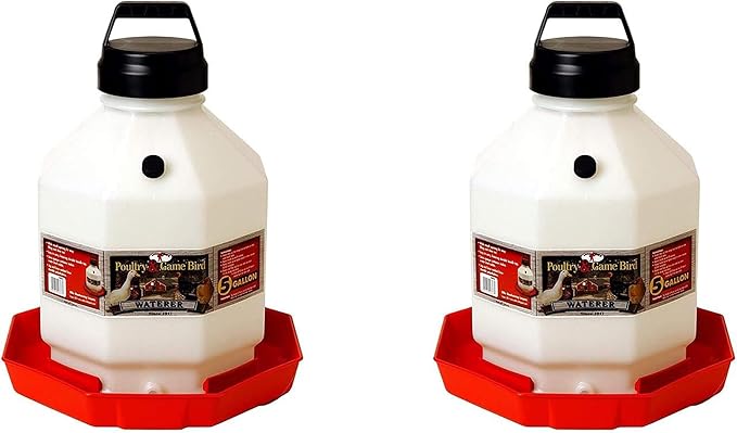 Little Giant PPF5 5 Gallon Automatic Poultry Waterer for Chickens, Red (2 Pack)