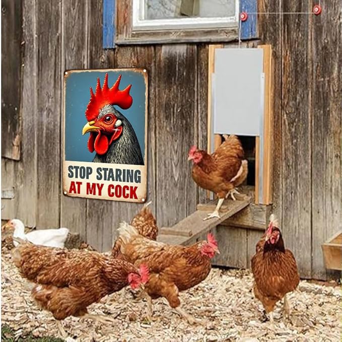 Funny Chicken Gifts Chicken Cluck Around and Find Out Tin Sign for Home Farm Chicken Coop Farmhouse Kicthen Garden Decor 6 X 8 Inch