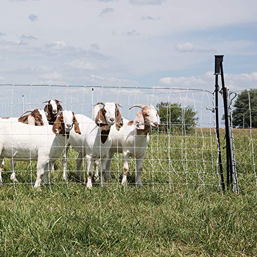 Premier 1 ElectroNet® Electric Fence Gate (White/Black, 35"H x 7.5'L)