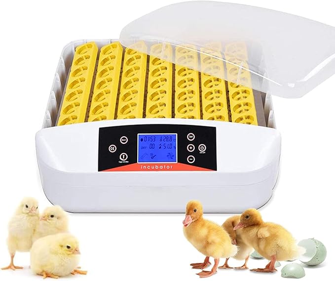42-56 Egg Incubator with Smart Alarms - Egg Incubator with Auto Turning, Temp Control and Humidity Display, LED Candler Incubator for Chicken, Duck, Goose, Quail, Bird Eggs (56s)