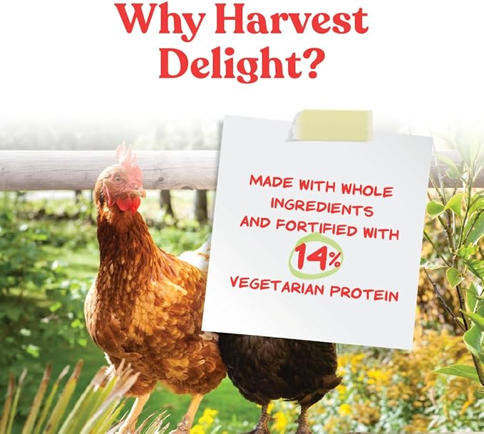Manna Pro Harvest Delight - Whole Ingredient Chicken Treat - Harvest Mix of Grains, Raisins, Tomatoes, Carrots, Sunflower Seeds - Mixed Flock Poultry Treat - 2.5 lbs