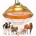 600 Watt Large Range Chicken Coop Heater - Professional Heat Lamp for Chicken, Poultry and Livestock