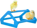Roosting Perch for Baby Chickens, Chick Brooder Coop Training Toy Accessory, Easy Click Together Assembly, Durable Plastic, Mix and Match Colors, USA Made (Blue, 1 Pack)