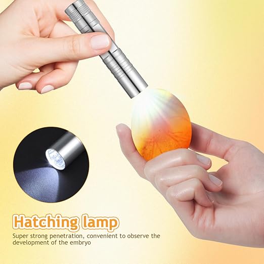 TOYANDONA Small Egg Incubator for Hatching Chicken Quail Parrot Eggs with Automatic Temperature and Humidity Control Portable Poultry Hatching Machine for Home and Farm Use