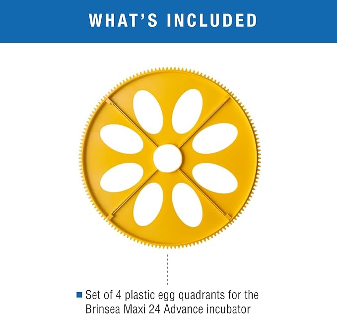 Brinsea Extra Large Egg Quadrant Insert for Maxi Advance Incubator System, Fits 8 Goose-Size Eggs