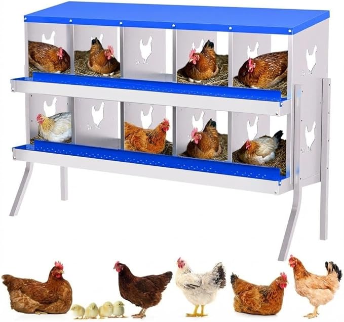 Chicken Nesting Box,10 Holes Galvanized Steel Metal Chicken Laying Box with Automatic Roll-Away Egg Collection System & Removable Tray,Wall Mount Nesting Boxes