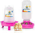 Lil'Clucker 1L Chick Feeder, 1.5L Chicken Waterer - No Leakage Chick Feeder and Waterer Kit, Durable Chicken Water Feeder, Chicken Feeder and Waterer Set, Poultry Waterer (Pink)