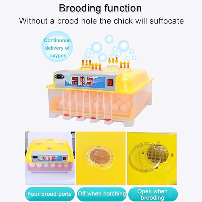 48-Egg Fully Automatic Digital Incubator - One-Touch Operation, Smart Egg Turner & Temperature Control for Chicken, Duck, Quail & Bird Eggs