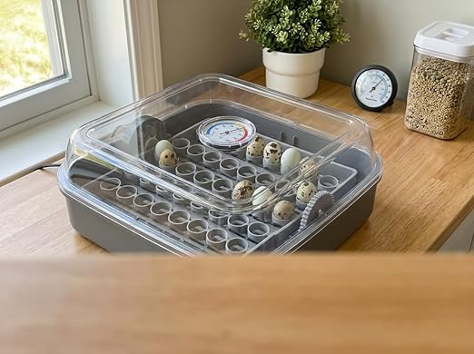 SplashNColor Quail Egg Tray Compatible with Maticoopx 20 Egg Incubator - Coturnix Quail Egg Rack - Compatible with Small Egg Incubators - Durable Egg Turner Accessory - 14 Slots - ABS White (1 Pack)