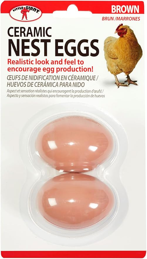 Little Giant® Large Egg Basket Kit | Chicken Egg Basket with Ceramic Eggs | Egg Collecting Basket Kit (Brown Eggs, Large Basket (13 Inches))