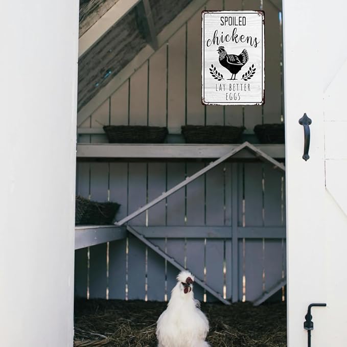 Chicken Coop Sign Chicken Coop Accessories Signs Chicken Coop Gifts Spoiled Chickens Lay Better Eggs Sign Chicken Signs For Coop Funny Outdoor Funny Metal Tin Signs For Home Gate Fence Yard Chicken Wall Decorations 8x12 Inch