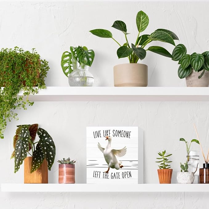 Duck Decor Sign Gifts - Live Like Someone Left The Gate Open - Wooden Box Sign for Home Farm House Kitchen Bathroom Bedroom (5x5 Inches)
