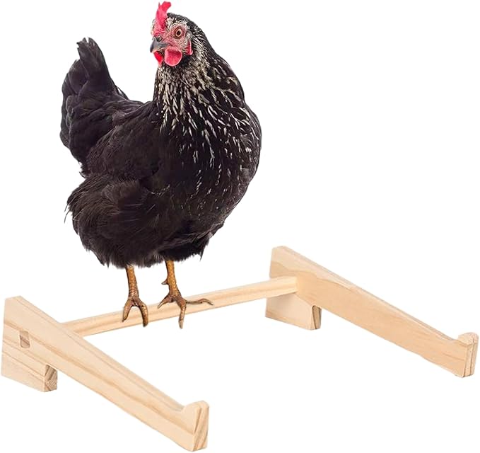 Chick Perch - 33x26.5x7.5cm Chicken Perch for Coop | Strong Wooden Roosting | Poultry Training Perchs Wood | Roosting Bar for Hen Chicks Birds Parrot Play Perching Training Support Brooder Chicke