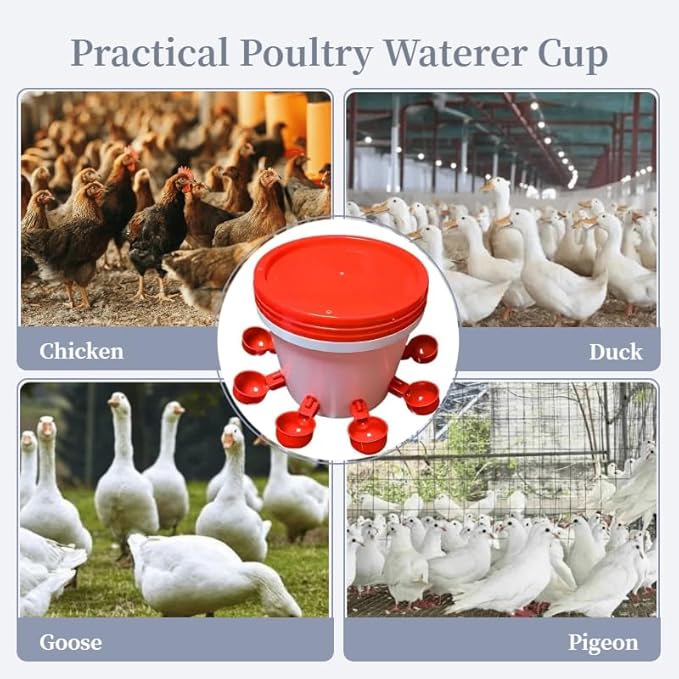 Chicken Waterer Feeder Cups 5 Packs,Duck Chick Waterer Chicken Feeder Cups,Automatic Water Feeder with Anti-Leak System for Chicken,Duck,Goose,Bunny(Red)