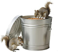 6-Gallon Galvanized Steel Storage Can with Lid, Heavy-Duty Metal Trash Can for Outdoor, Indoor Use, Pet Food Container, Bird Seed Storage, Ash Bucket, Rodent Proof, Ideal for Garage, Garden, Patio