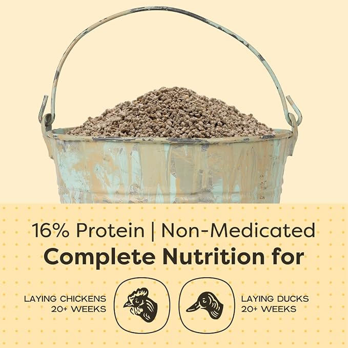 Scratch and Peck Feeds Whole Grain Layer Crumbles Chicken and Duck Feed - 25 lbs Bag - Corn-Free and Soy-Free - 16% Protein, Certified Organic and Non-GMO Project Verified Chicken Food