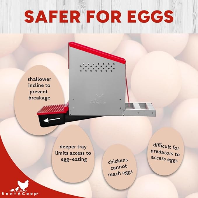 RentACoop Roll-Out Reversible Nesting Box Efficiency (One Compartment) for Chickens, Ducks, Poultry
