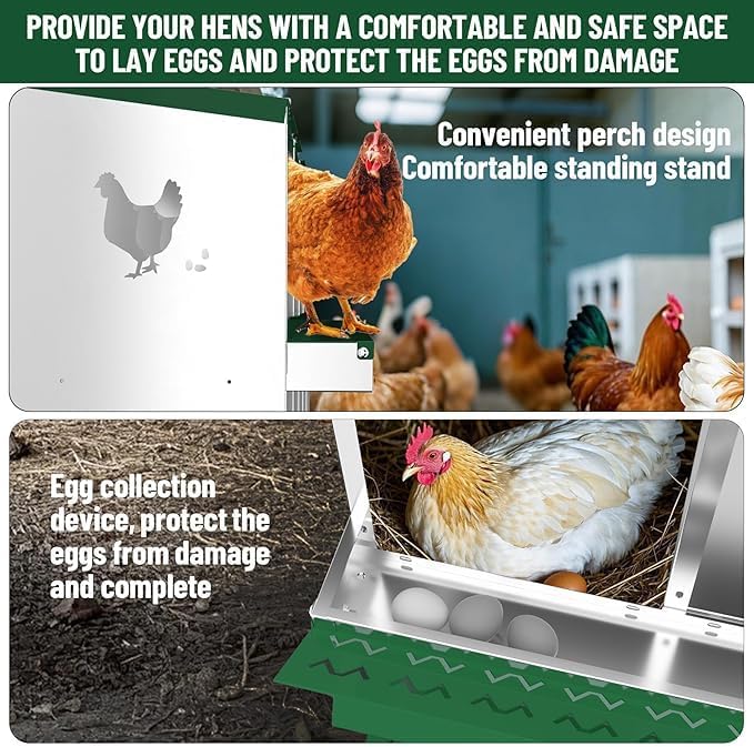 Chicken Nest Box, 10-Compartment Egg-Laying Box, Metal Hen House, Convenient for Collecting Eggs - Ventilated Poultry House Equipment - Suitable for Hens, Ducks Green,Without Stand