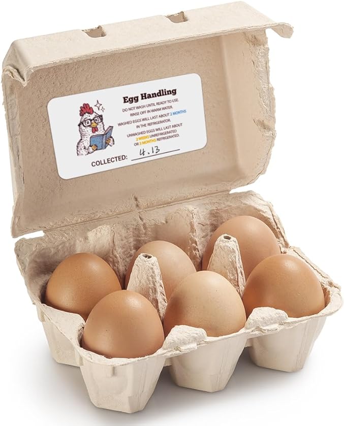 160 Pcs Egg Carton Labels, Eggs Handling Stickers Farm Fresh Laid on Sticker PET Adhesive Egg Packaging Sticker for Box Container Carton Farm Supplies, 2x4 Inch