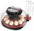 Smart Chicken Incubators for Hatching Eggs with Automatic Turner Small Poultry Duck Quail 12 Egg Incubator Temperature Control Display Hatcher Machine (M12 Pro)