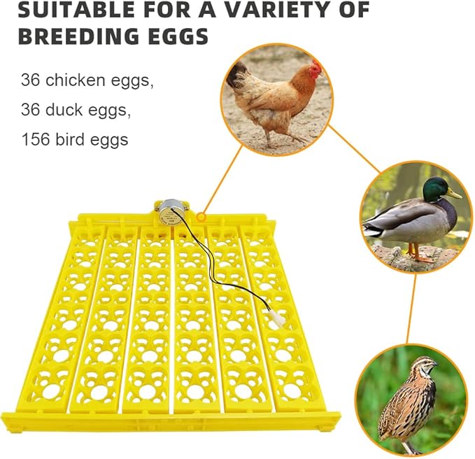 Automatic Multifunction Incubator Egg Tray With 110V Motor Turning Hatcher for Chickens/Ducks/Birds/Poultry (36-tray-110V)