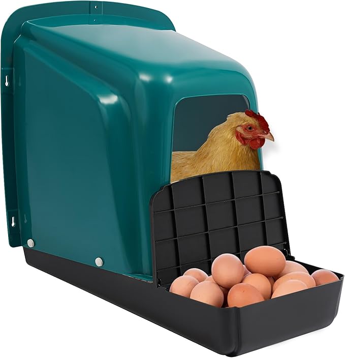 Chicken Laying Boxes, 5 Pack Roll Away Chicken Nesting Boxes, Durable Plastic Laying Boxes with Perch, Pull-Out Tray Ventilation for Hen Coops, Backyard Poultry Farms
