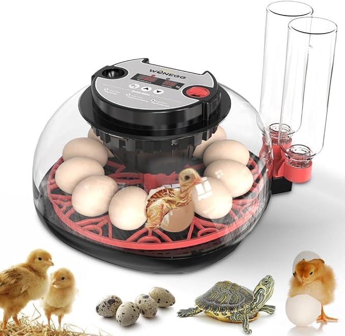 Nest II - 12 Egg Incubator for Beginners, Multi-Level Adaptive Humidity (Auto-Refill & Dual-Bottle) & Stable Temp Control, Auto Egg Turning, Real-Time Display, Candler for Hatching Poultry Eggs