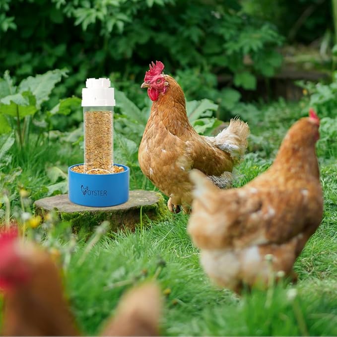 2 Pack Transparent PVC Chicken Feeder, Oyster Shell and Grit Feeder Hanging Ground Chicken Coop Feeder with Hanging Hook for Hens & Chicks (Blue)