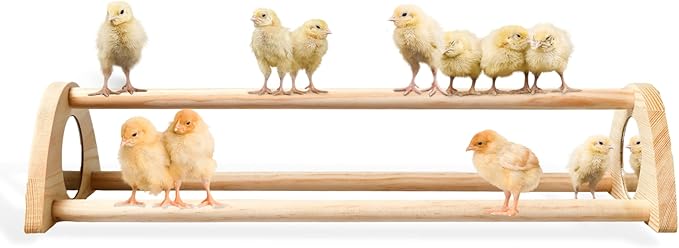 TonGass 16" Extra Long Chicken Perch - Freestanding Roosting Bar for Baby Chicks with Built-in Mirrors for Entertainment - Durable Polished Bamboo Roosting Bar - 15 3/4 x 6 5/8 x 3 1/2"