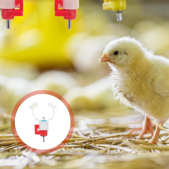 VICASKY Quail Waterer Rabbit Watering System Chicken Cups Feeder 20pcs Drinker Water Dispenser Ball Automatic Nippler Chick ABS Poultry with Steel Control