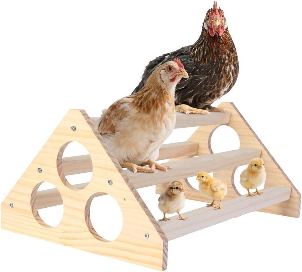 Wooden Chick Perch, Chick Stand Training Perch, Wood Chicken Roosting Bar for Entertainment, Strong Chick Jungle Gym Roosting Bar, Strong Wooden Chicken Roosting Bar, Easy to Assemble and Clean（Big）