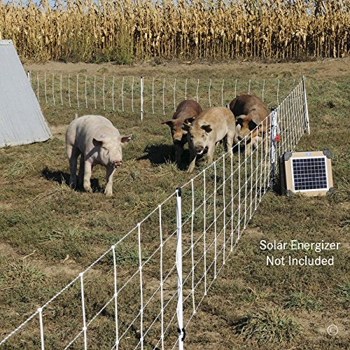 Premier 1 Pig QuikFence® Electric Netting | White/Black Single Spike High Visibility Fence – 30"H x 100'L