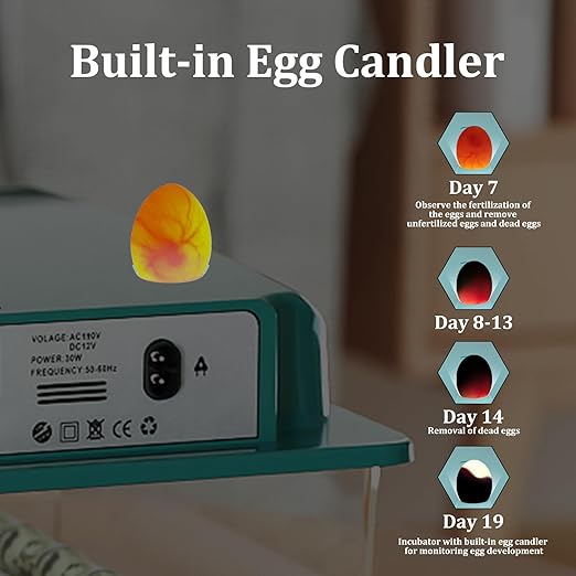 Incubators for Hatching 16 Eggs, Egg Incubator with Automatic Egg Turning and Humidity Fill, Temperature Control, Incubator with Adjustable Rollers for Chickens, Ducks, Geese, and Quails