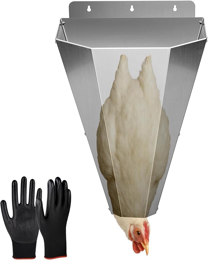 Medium Chicken Cone for Butchering, Upgraded Thickened Stainless Steel Kill Cone, Flat-Back Killing Cone for Poultry Processing, Fits Chickens up to 8 lbs, Ideal for Farm or Backyard Use (Silver)