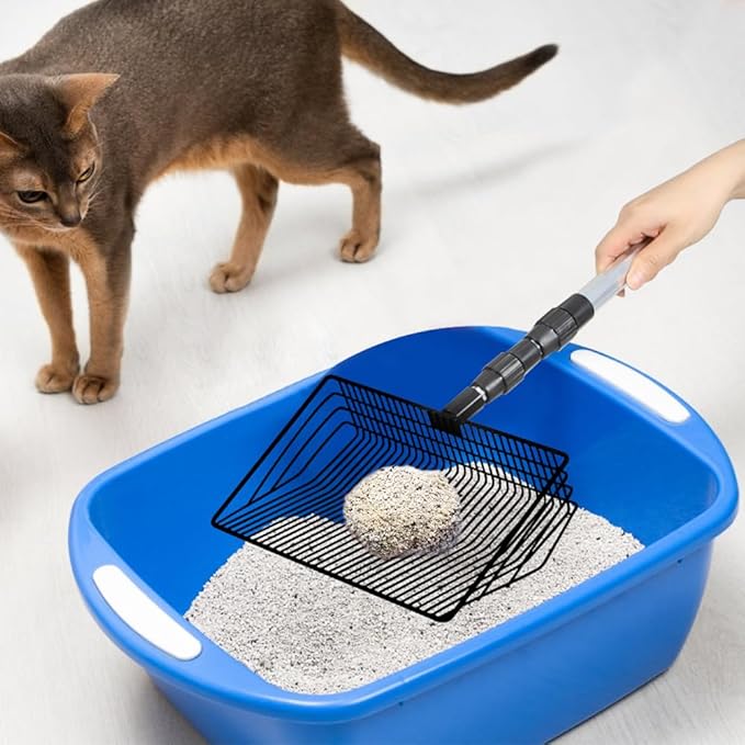 2 Pack Large Chicken Poop Scooper, Stretchable Litter Scooper for Chicken(22.4 to 42 Inch), 10 Inch Detachable Heavy Duty Poop Shovel for Chicken Coop Accessories