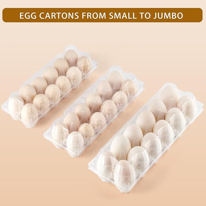 60 Pack Duck Egg Cartons Jumbo Egg Cartons Cheap Bulk with Sticker Labels Clear Empty Plastic Egg Containers Extra Large for Home Ranch Farm Commercial Market Display, 2×6 Grids