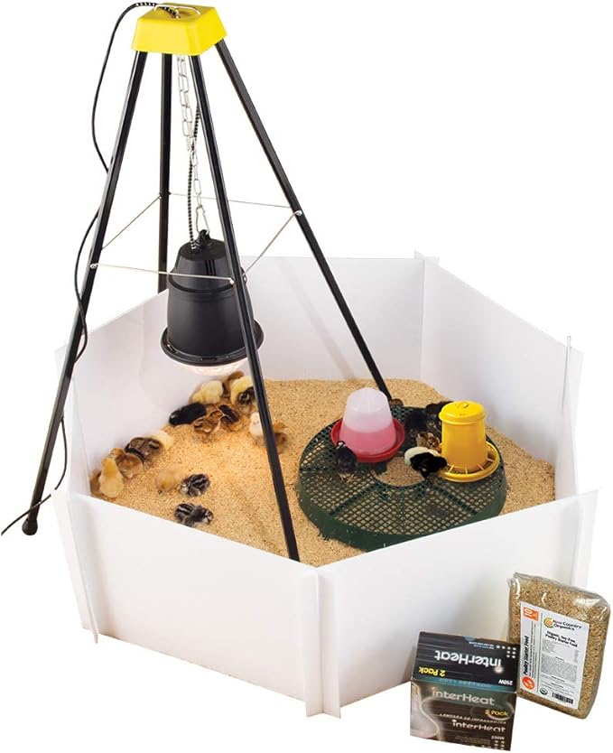 Premier 1 Chick Heat Lamp Brooder Kit | Includes: Heat Lamp + Adjustable Stand, 2 Bulbs, 7 Reuseable Panels, Chick Stand, Waterer, 3 lb Feeder, 10 lbs. Starter Feed | Warms Up to 24 Chicks
