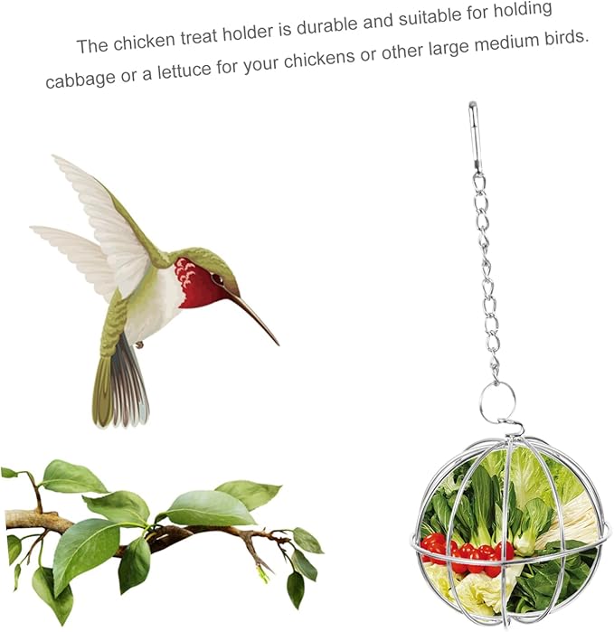 Hanging Stainless Steel Chicken Feeder Holder 2Pcs Ball Shape Poultry Vegetable Treats Feeders for Chickens and Chicks