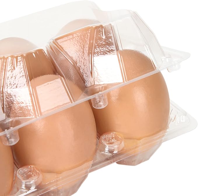 DAJAVE 100 Pack Plastic Egg Cartons Bulk, 2x3 Egg Holders Style Holds up for 6 Eggs, Half Dozen Egg Carton for Family, Pasture, Farm Markets Display(Medium)
