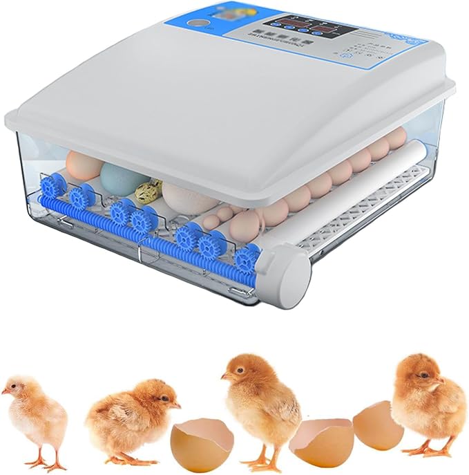 Egg Incubator Chicken Incubators for Hatching Eggs with Automatic Temperature and Humidity Control, Chick Brooder, Incubator Box Kit,36Eggs,36Eggs
