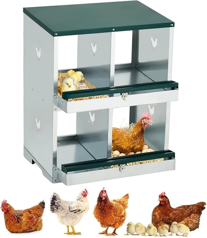 Chicken Nesting Boxes, 4-Hole Nesting Boxes for Chicken Coop with Lid, Metal Laying Boxes for Hens with Swing Perch and Roll Away Egg Collection for Chicken Coop, Double Layer 4 Compartments