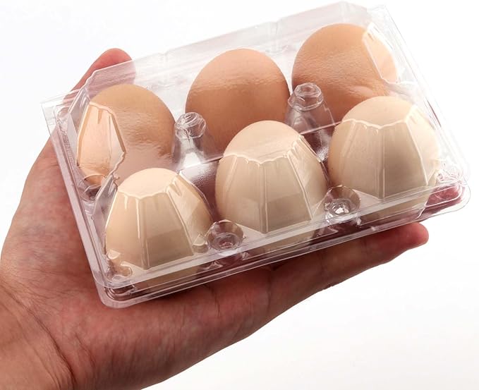 JAPCHET 150 Pack Clear 6 Egg Carton, Empty Plastic Egg Cartons for Chicken Egg Storage and Transport for Kitchen, Market and Farm