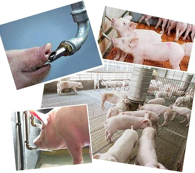 Stainless Steel Pig Waterer,NPT 1/2" Automatic Pig Nipple Drinker Feeder Waterer (5 pcs)