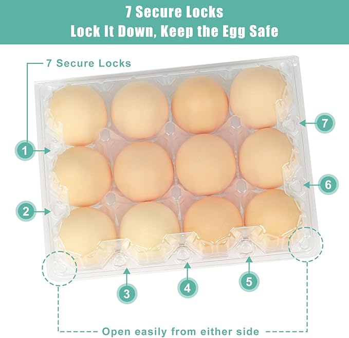 100 Packs 12 Count Clear Plastic Egg Cartons, 3 * 4 Grids Design, Perfect for Family, Farm, Markets, Display(Large)