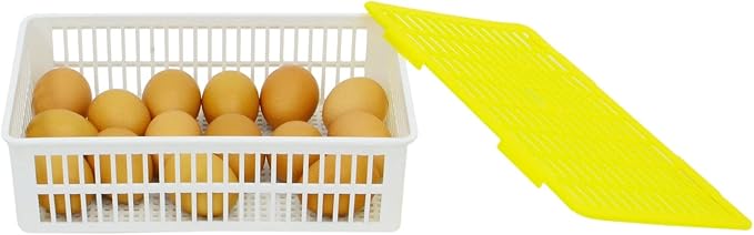 Egg Hatching Basket, Fits Hatching Time CT Series Incubators, Divided Hatch Outs, Separate Breeds When Hatching, Fits 15 Chicken Eggs, Fits Any Egg Size