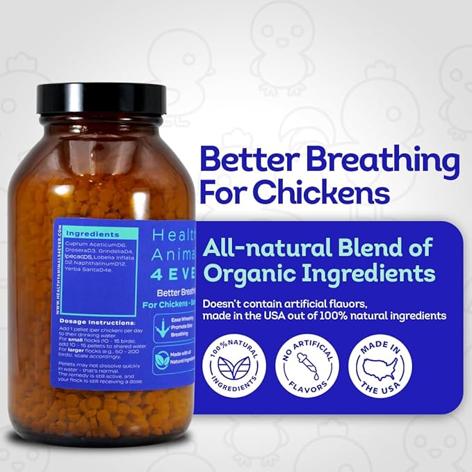 HA4E - Chicken Respiratory Support Supplement - Effective Breathing Aid for Chickens - Highly Effective Homeopathic Formula - Pellets, Barn Size (Extra Large)