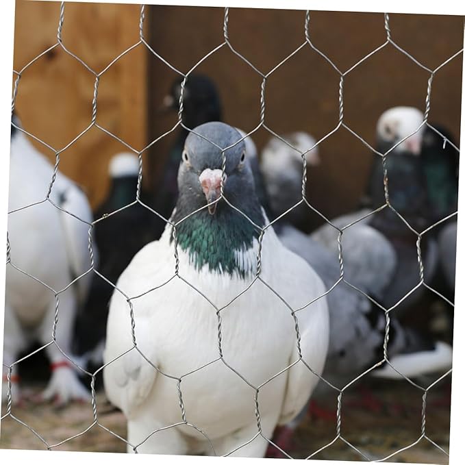 1 Roll Heavy Duty Galvanized Chicken Wire Fencing Durable Mesh for Poultry Garden Barrier Rabbit Enclosure Easy Installation Versatile Use