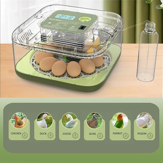 Incubators for Hatching Eggs, 12 Eggs Capacity, Egg Incubator with Automatic Egg Turning and Humidity Control for All Poultry - Chickens, Ducks, Quails, Turkeys, and More