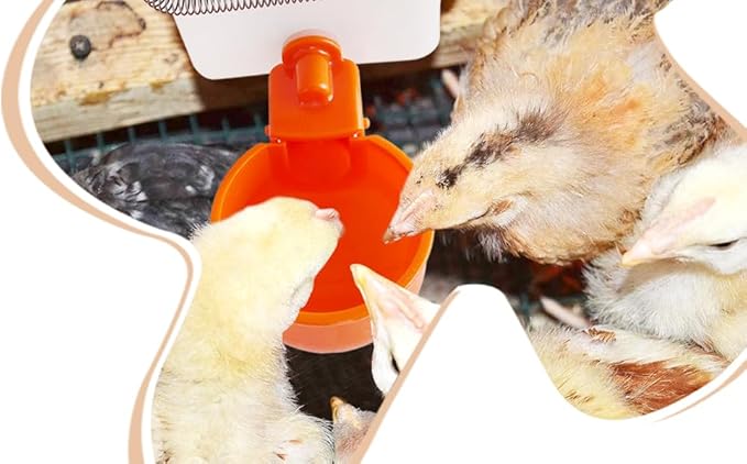 Automatic Waterer System Chick Drinker Cups 1L Hanging Automatic Fill Poultry Watering Cup Used for Cage (Orange, 1)